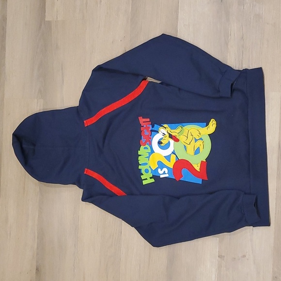 Youth Walt Disney World Houndsight is 2020 Pluto Embroidered Hoodie. Size XL - Picture 5 of 9